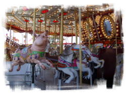 carousel at orange county fair
