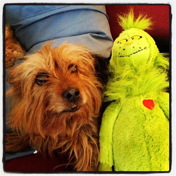 Max and the Grinch